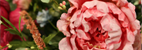 Series_Two